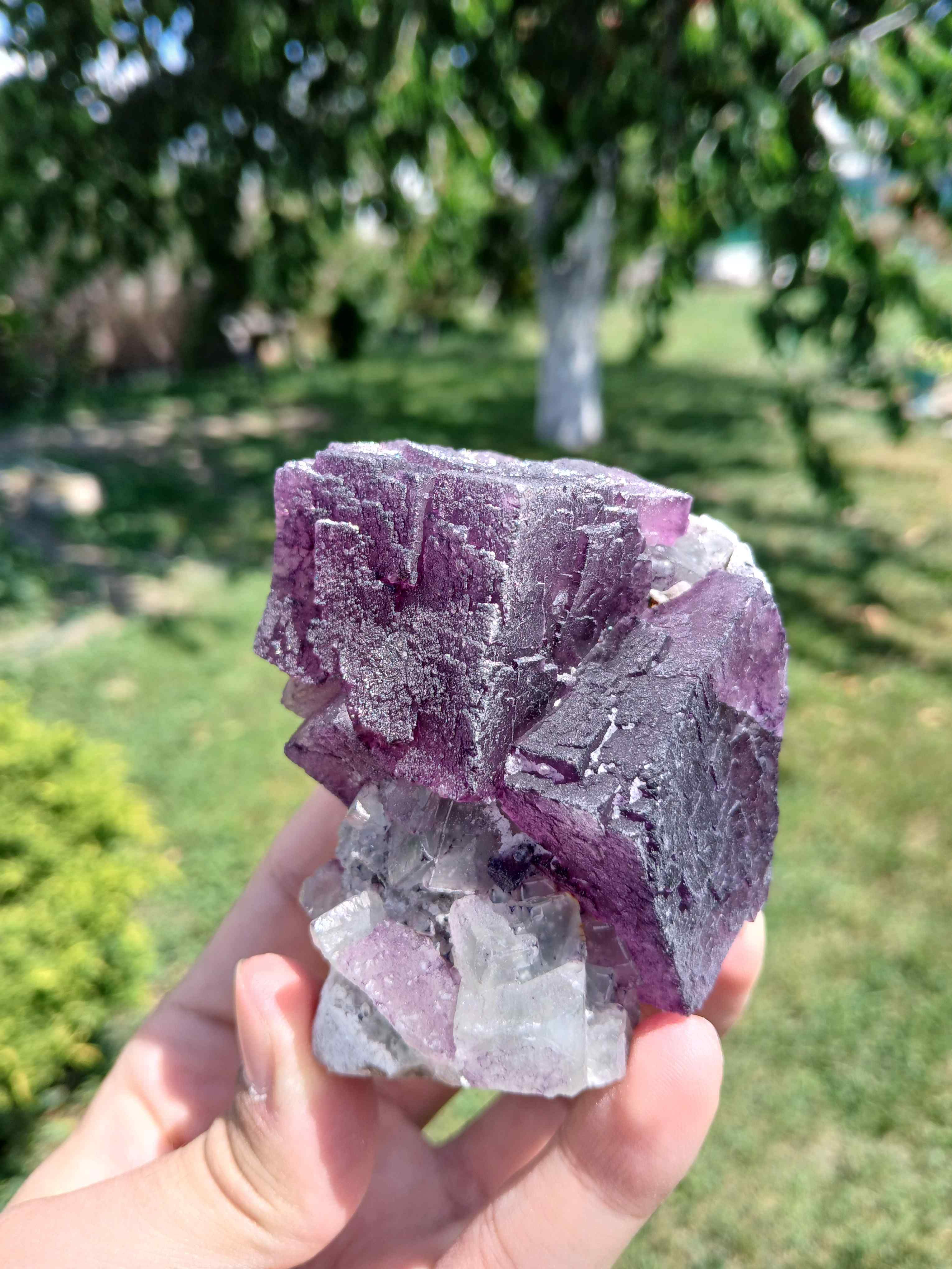 Fluorite
